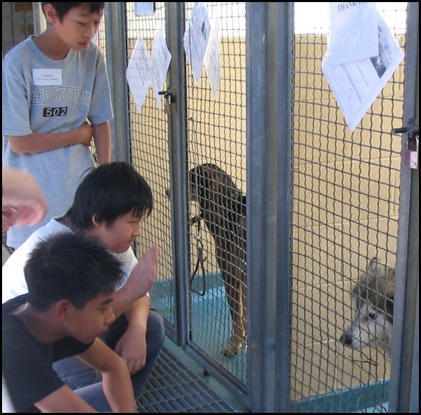 BCSPCA OCT 2006 007.jpg